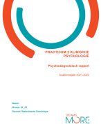 Psychodiagnostisch Verslag Practicum 2 KLP