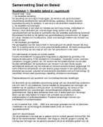 Samenvatting Stad en Beleid