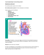 Samenvatting Inspanningsfysiologie A