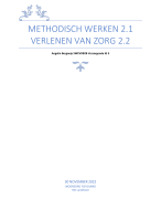 Leereenheid 2.1 en 2.2 Methodisch werken