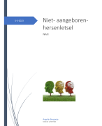 NAH niet aangeboren hersenletsel examen opdracht p2m