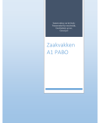 Samenvatting Zaakvakken A1