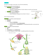 Samenvatting biologie Thema 6 Voortplanting bij planten en dieren 1 havo/vwo deel b