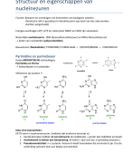 Biomoleculen: nucleïnezuren (RNA / DNA)
