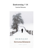 Hersenschimmen Bernlef boekverslag 