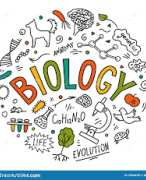 biologie samenvatting mavo 2 voortplanting
