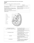 Natuurwetenschappen 3ASO examencommissie