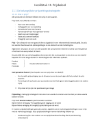 Samenvatting principes van marketing hoofdstuk 11