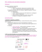 Oxidatieve fosforylering en fotofosforylering 