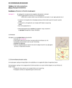 Glycogeenmetabolisme 