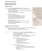 Het Aminozuurmetabolisme 