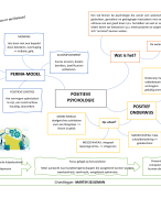 Mindmaps van Pedagogische Professionaliteit 