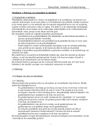 Samenvatting Veiligheid