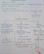 COAGULATION OF BLOOD LECTURE NOTES