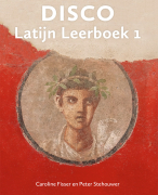 Latijn overzicht naamwoord rijtjes