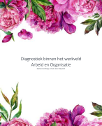 Diagnostiek binnen het werkveld Arbeid en Organisatie | LOI