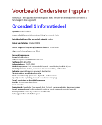 voorbeeld  Ondersteuningsplan  MMZ3/4 