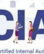 CIA Part 2 Quiz and answers 100 questions