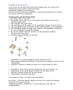Hoofdstuk 2 planten Biologie