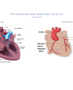 Aandoeningen cardiovasculaire stelsel