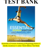 Essentials of Human Anatomy & Physiology Elaine N. Marieb, Suzanne M. Keller Tenth Edition Test Bank
