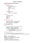 Golven en Trillingen KdG Biomedische Laboratoriumtechnologie 1ste jaar