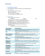 Samenvatting Nederlands Schriftelijk (3de graad)