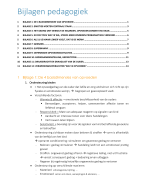 Samenvatting bijlagen pedagogiek