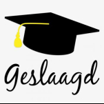 Geslaagde scripties