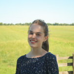 Rosa den Hengst