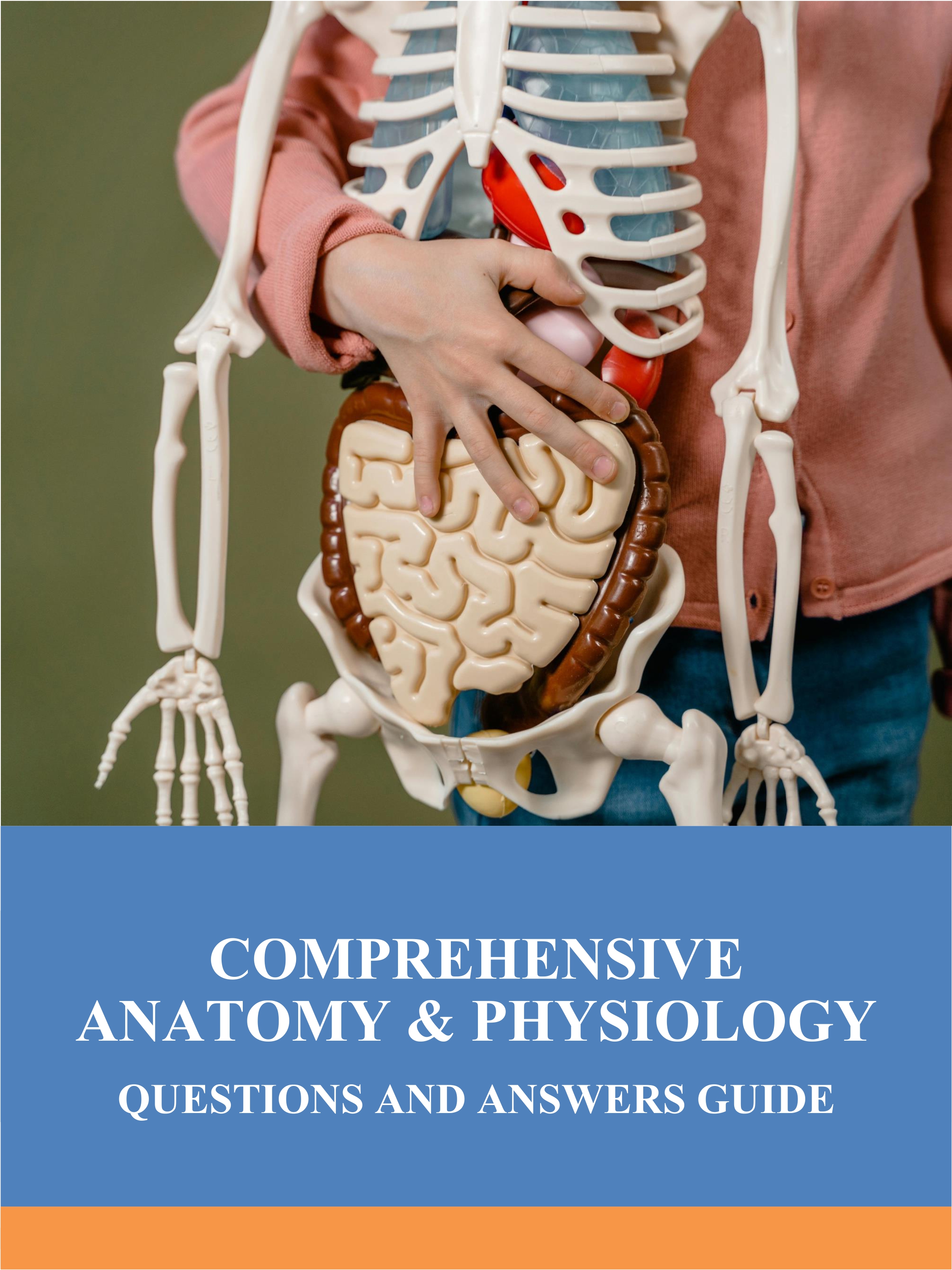 Comprehensive Anatomy & Physiology: A Question and Answer Guide Part II